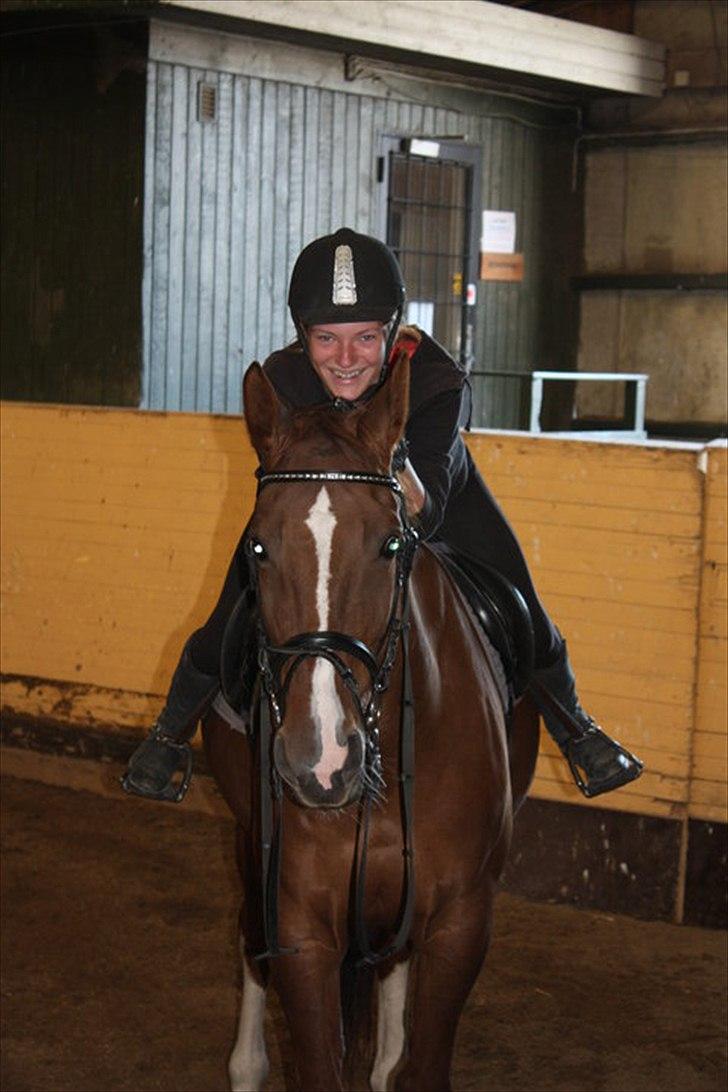 Hollandsk Varmblod Chanel - nurr! 2010 billede 9