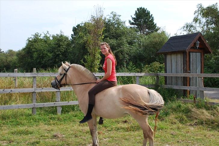 Fjordhest Klithusets Musse  - Musse Og Mig - På Ridebane Ved Western Camp <3 billede 14