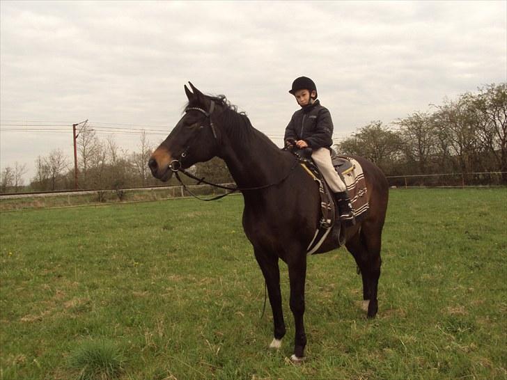 Dansk Varmblod Anita mors hest  - Anita med Peter ...de to rider super sammen  billede 1