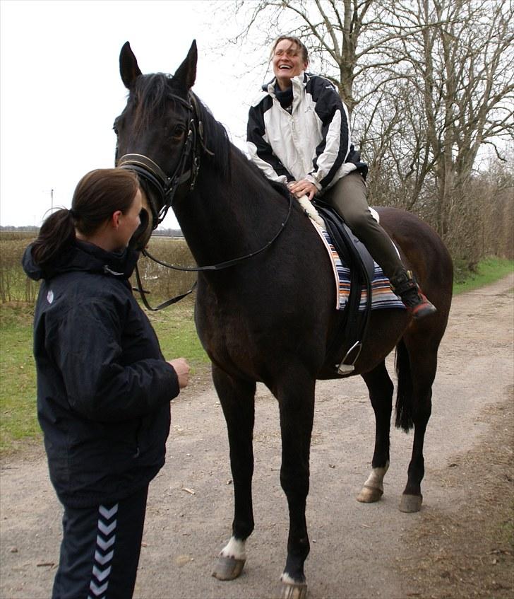 Dansk Varmblod Anita mors hest  - Ja mor så er det vist hellere ikke sjovere med din dårlige kondi .  billede 7