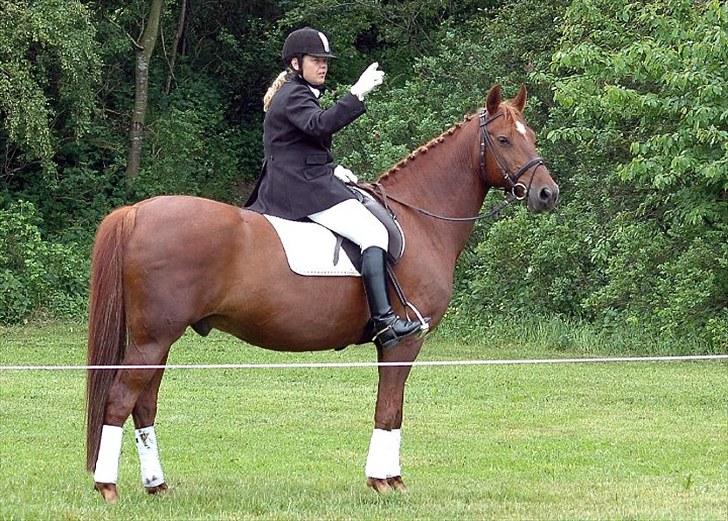 Anden særlig race Contesses Babe *>Rider<3! - ´Stævne i Hyllebjerg LB2 dressur. billede 11
