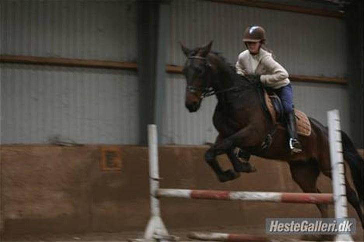 Anden særlig race Latoya - Camilla som springer på Hende :) billede 9