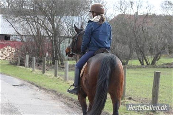 Anden særlig race Latoya - hun kan også gå yur :) hehe billede 11