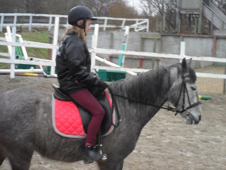 Anden særlig race | Stjerne -  Puhaa hvor det regnede xD | Fotograf: Team Black © billede 4