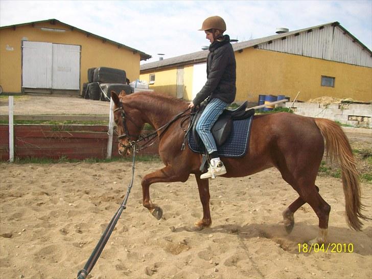 Traver Disse (red) billede 1