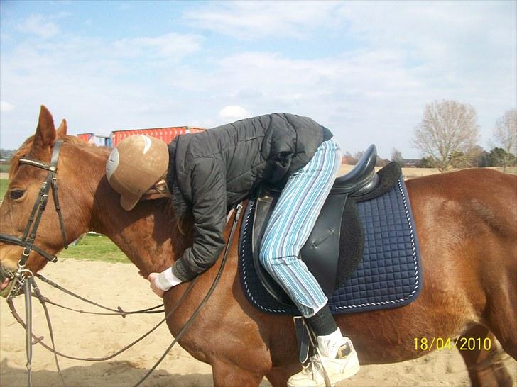 Traver Disse (red) billede 2