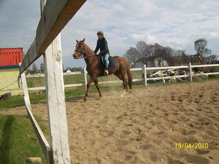 Traver Disse (red) billede 5