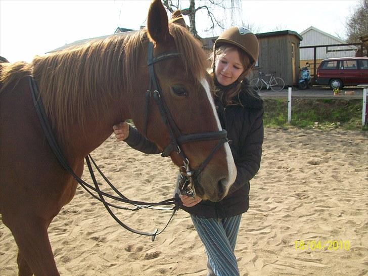 Traver Disse (red) billede 6