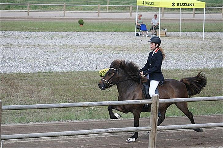Islænder Jarpstjarna f Hillerød ov - Fri tølt til Danmarksmesterskaberne (: <3 billede 13