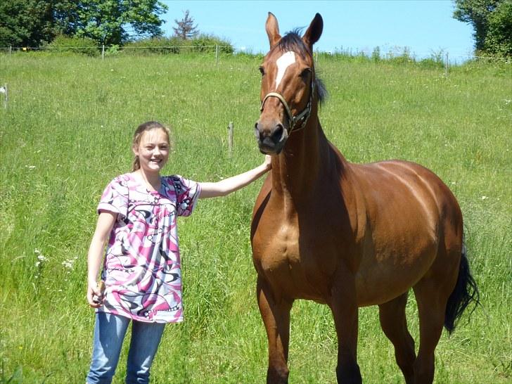 Dansk Varmblod Pentagon K. - 13) Sommerfold 2010 <3  billede 13
