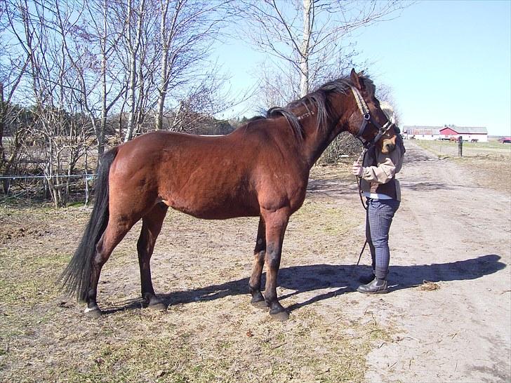 Traver Delphi - Delphi og Sanne... billede 10