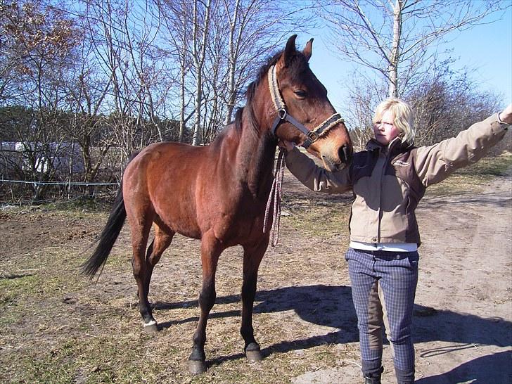 Traver Delphi - Hvad peger du p&#229;, sig det nu... billede 11