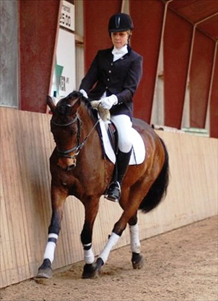 Anden særlig race Bounty <3 SOLGT billede 3