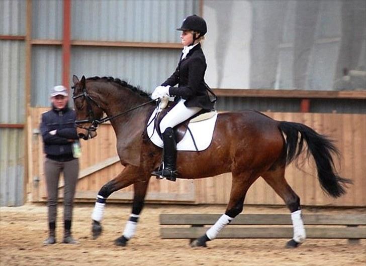 Anden særlig race Bounty <3 SOLGT billede 5