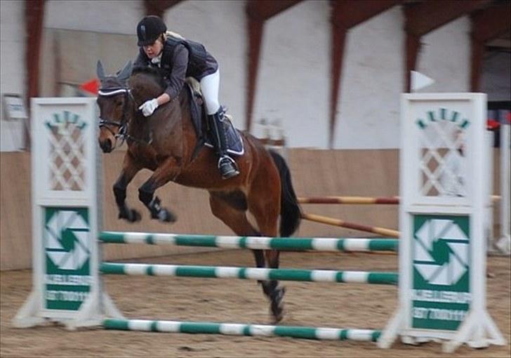 Anden særlig race Bounty <3 SOLGT billede 7