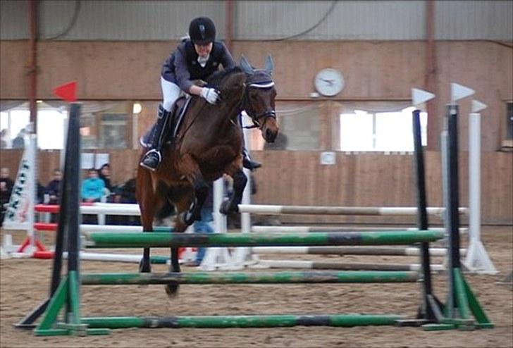 Anden særlig race Bounty <3 SOLGT billede 8