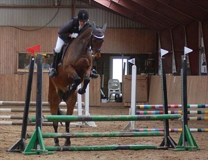 Anden særlig race Bounty <3 SOLGT billede 9