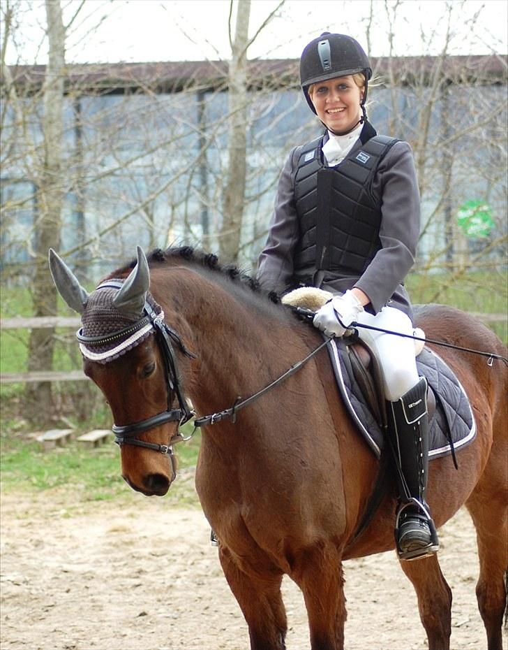 Anden særlig race Bounty <3 SOLGT billede 10