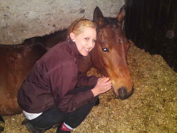 Anden særlig race Bounty <3 SOLGT billede 11