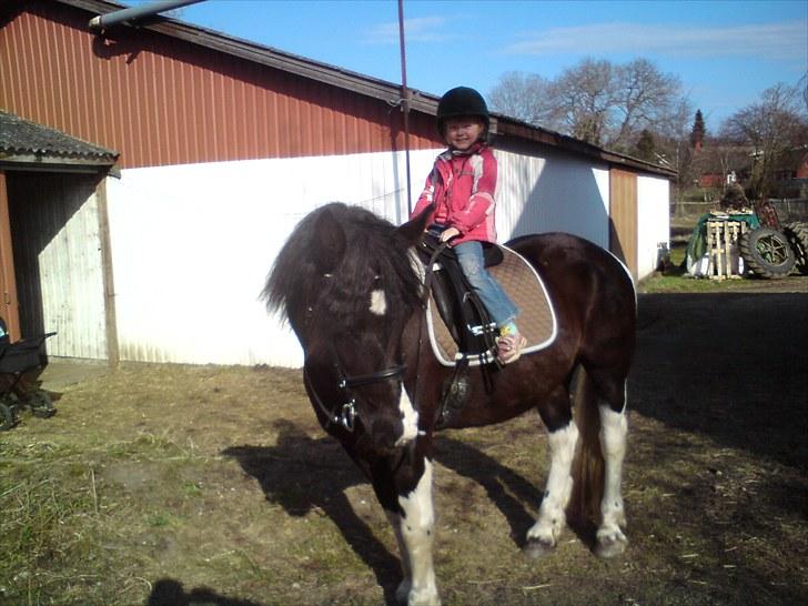 Barockpinto Aranka* RIP* - Vi er så smukke billede 20