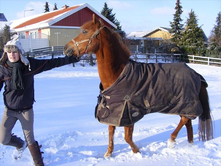 Anden særlig race - VEJGAARS LUCA<3 solgt til Sverige - spørg mig ikk hva vi laver her billede 19