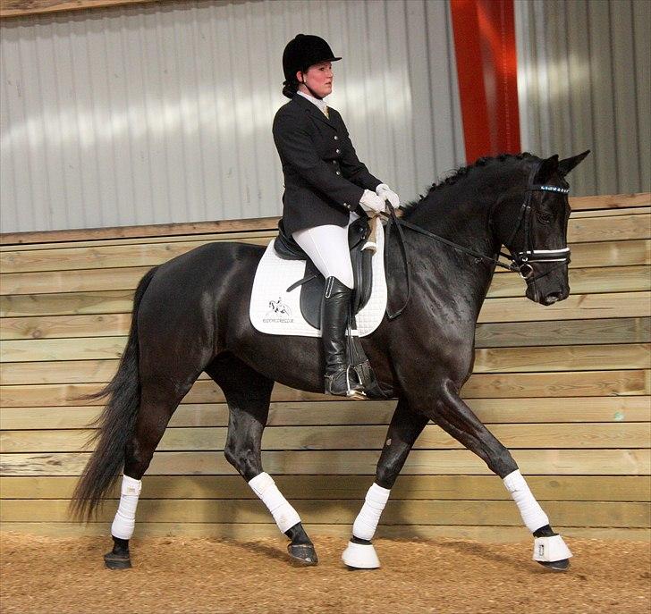 Oldenborg Fürstenfrau af  Hvarre billede 1