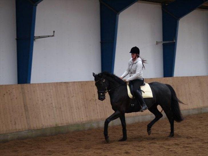 Oldenborg Fürstenfrau af  Hvarre billede 4