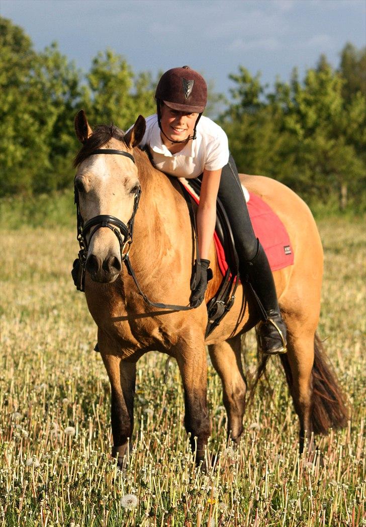 Welsh Cob (sec D) Ocebio <3 - Du og jeg<3 (: Foto: Lille søster billede 18