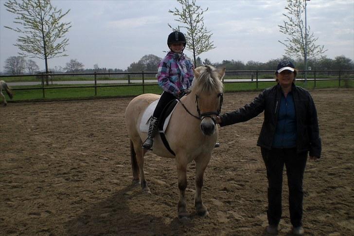 Fjordhest Prins Rose ( Part ) - 8) Min søster på Prins, og ved siden af står Susanne billede 8