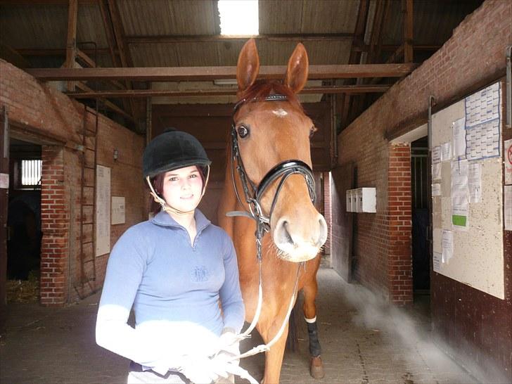 Dansk Varmblod F.A Royal <3 billede 16