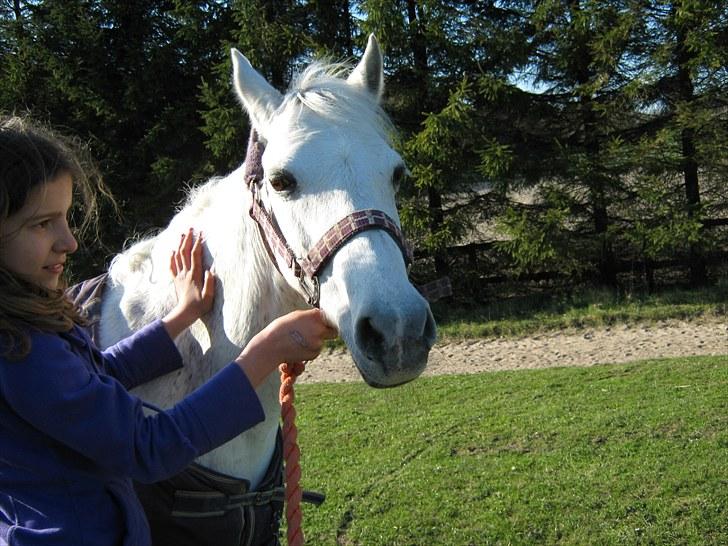 Anden særlig race silva - min veninde der holder silva heeh billede 2