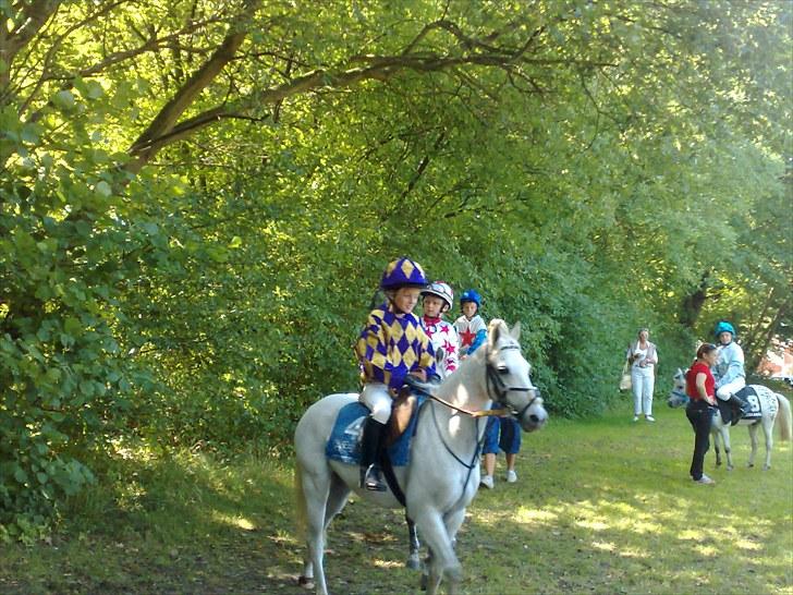 Anden særlig race silva - mig og silva til ponygalop  og vi vanddt billede 5