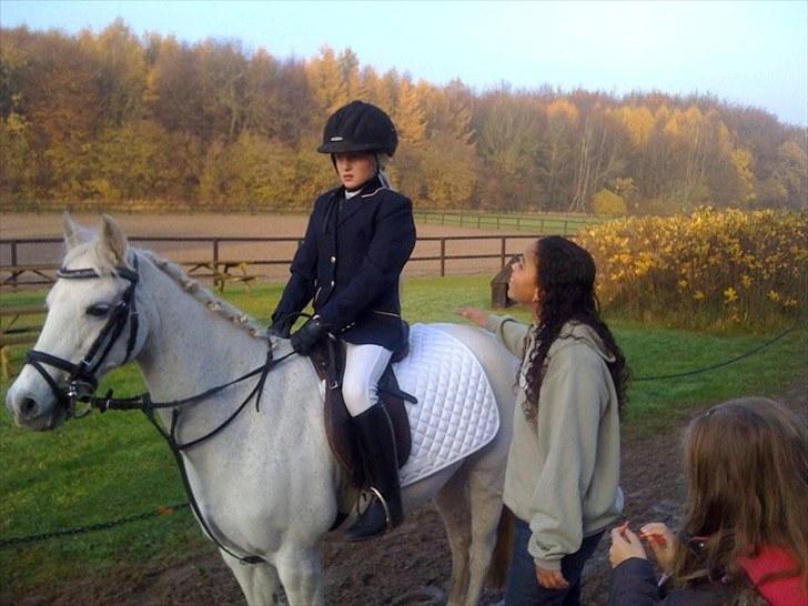 Anden særlig race silva - elsker dig silva <3<3<3 billede 7