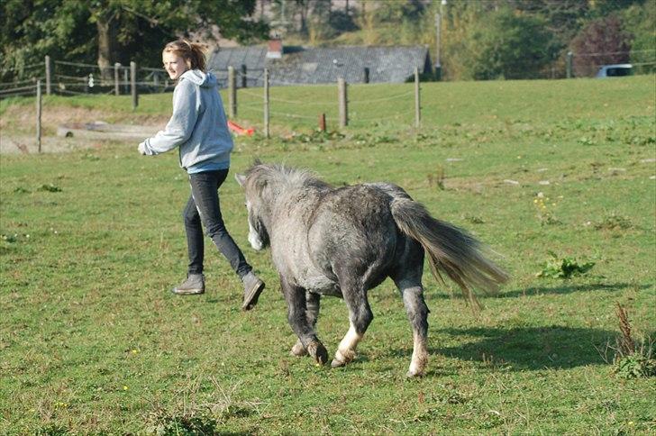 Miniature Unieke Whitey - 16] Løb som du vil. Der er ingen tov på. Her er ingen tvang. Det er fri leg, hvad end du gør er jeg glad. For din sjæl kan holde mig igang. Din kærlighed får mig til at elske dig, selv når jeg hader dig mest. There´s nothing like us. billede 16