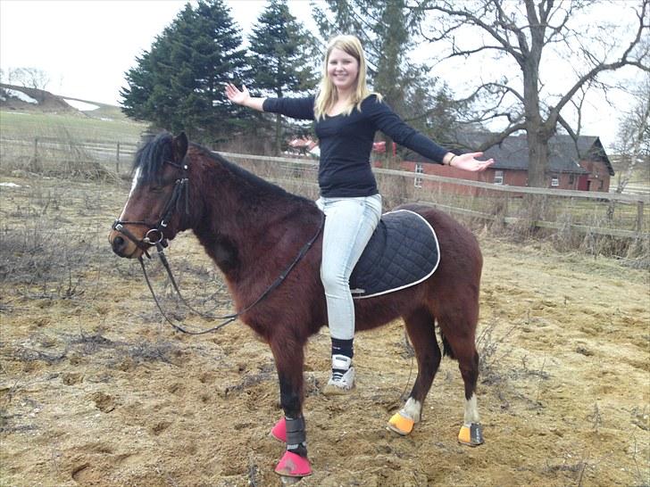 Dartmoor Lille per (savnet<3 - 11. perfekte hest  billede 11