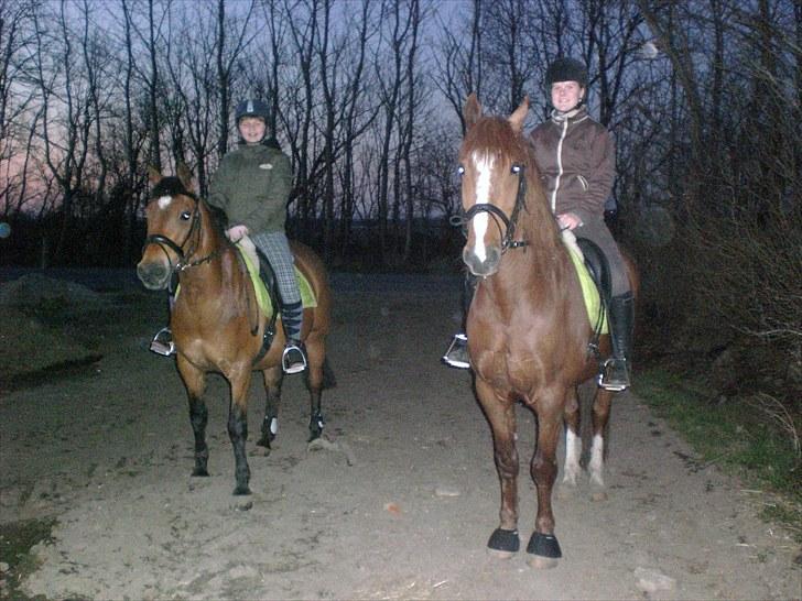 Anden særlig race Spirit .. ( SOLGT ) billede 3