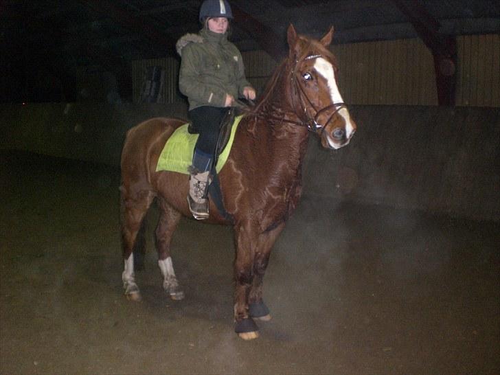 Anden særlig race Spirit .. ( SOLGT ) billede 4