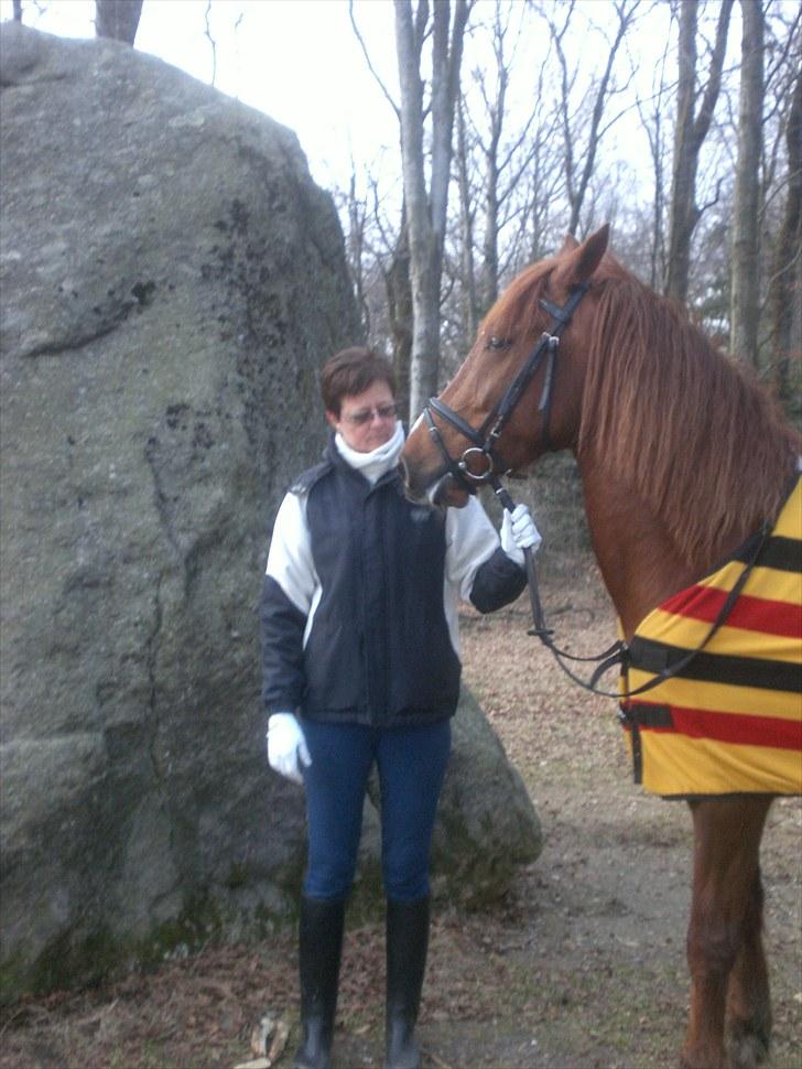 Anden særlig race Spirit .. ( SOLGT ) billede 6