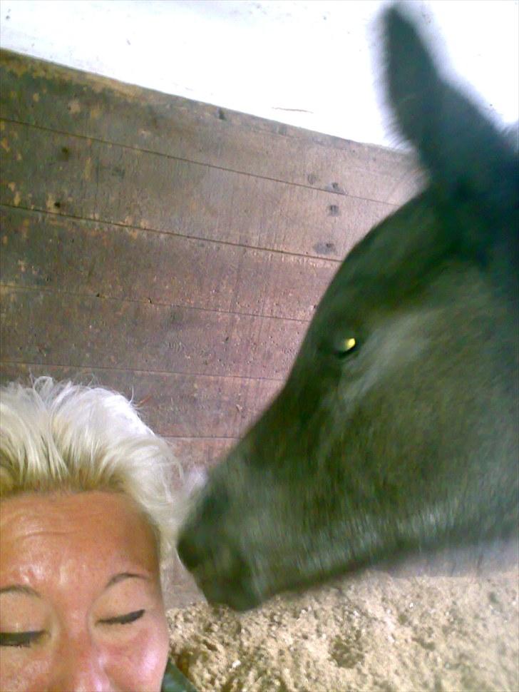 Anden særlig race Melanies My Nelli billede 11