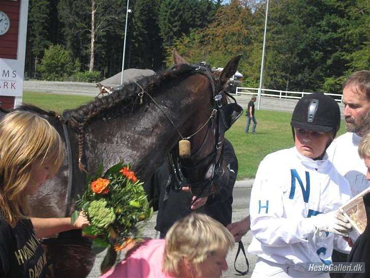 Traver jonte streamline (s) - Monté billede 13