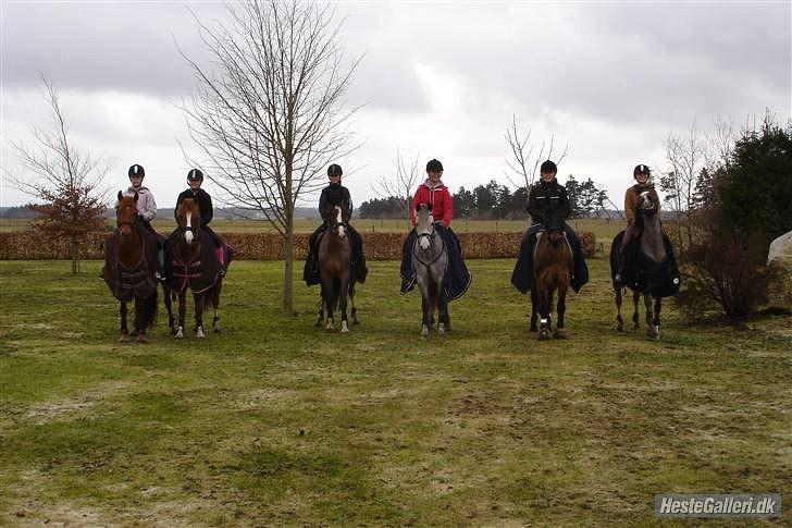 Anden særlig race Pikatju Mitalt!í;<3333333 - på tur sammen med sofie mig maria rebekka marie og tescha mega hygge :D<33 billede 16