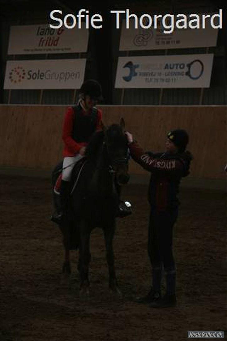 Anden særlig race Rapollo billede 11