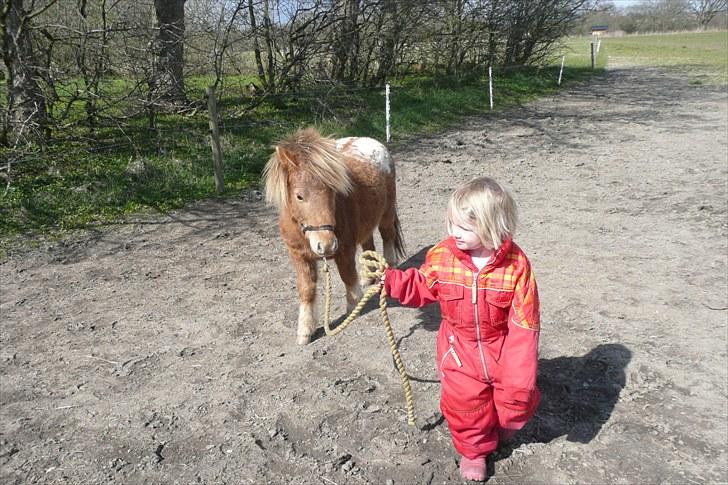 Miniature Tarzan billede 12