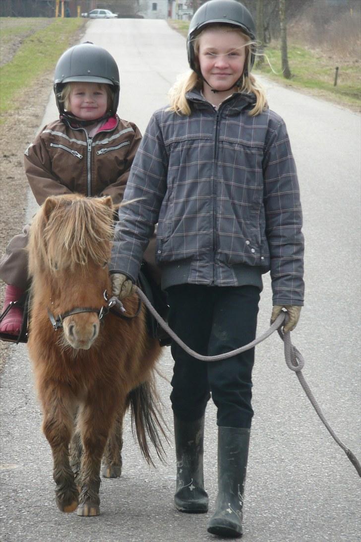 Miniature Tarzan billede 13