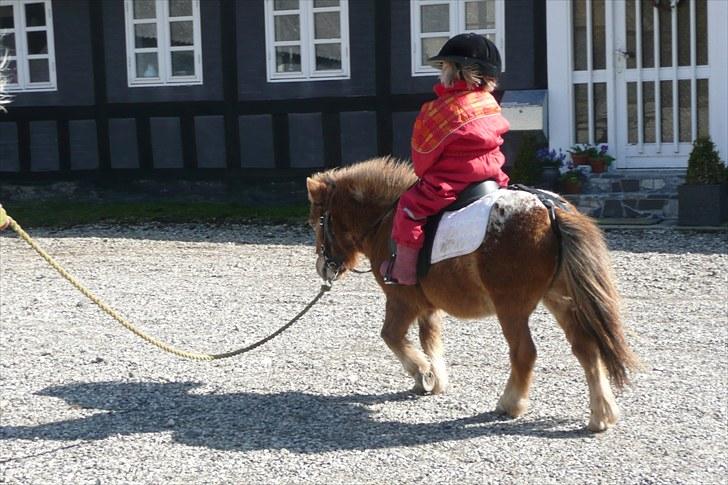 Miniature Tarzan billede 16