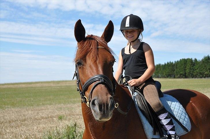 Anden særlig race Miss Anastacia<3  'solgt' :'( - Lillesøster skal også have en tur. :) billede 2