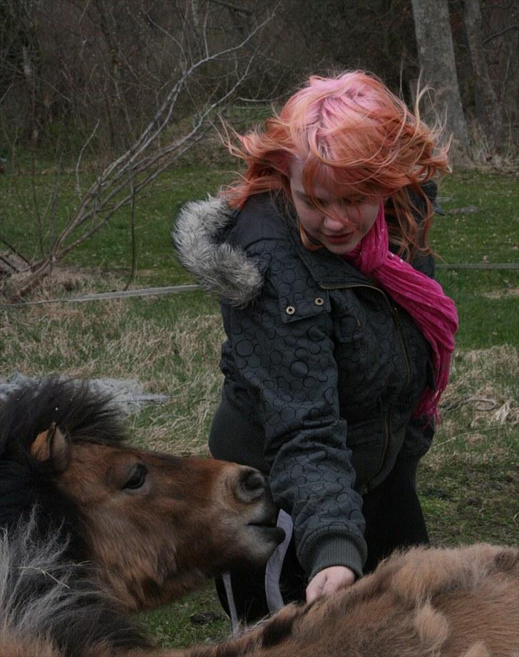 Shetlænder Stensbæk's LUCKY  - Lucky og mig :)  billede 3
