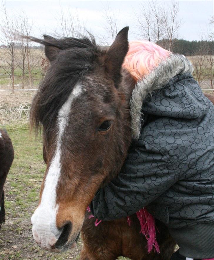 Anden særlig race Stensbæk's RICO billede 14