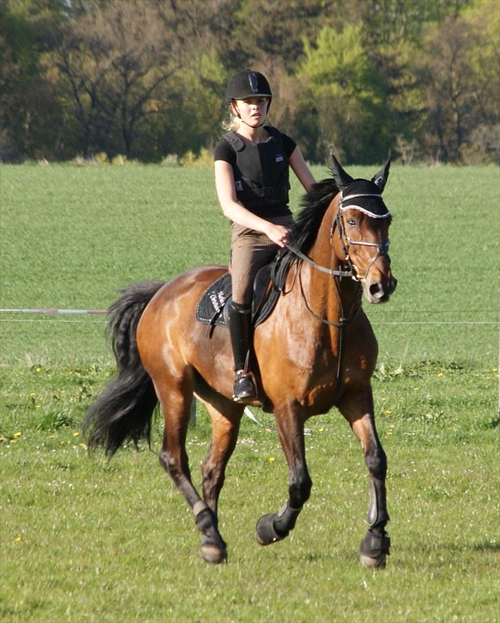 Anden særlig race Djenkiss <'3  - Og jeg elsker at løbe stærkt i fuuuuld galop :D billede 5