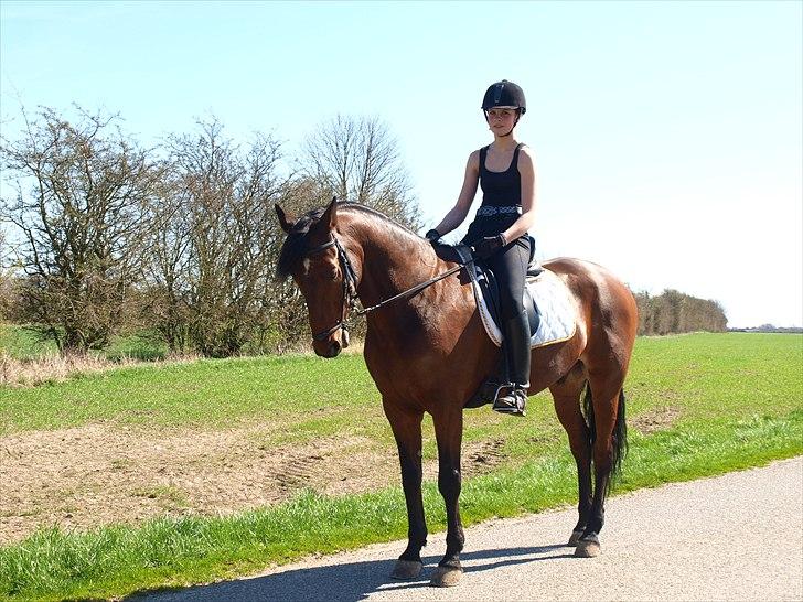 Anden særlig race Djenkiss <'3  - Sommeren 2011 (: billede 6